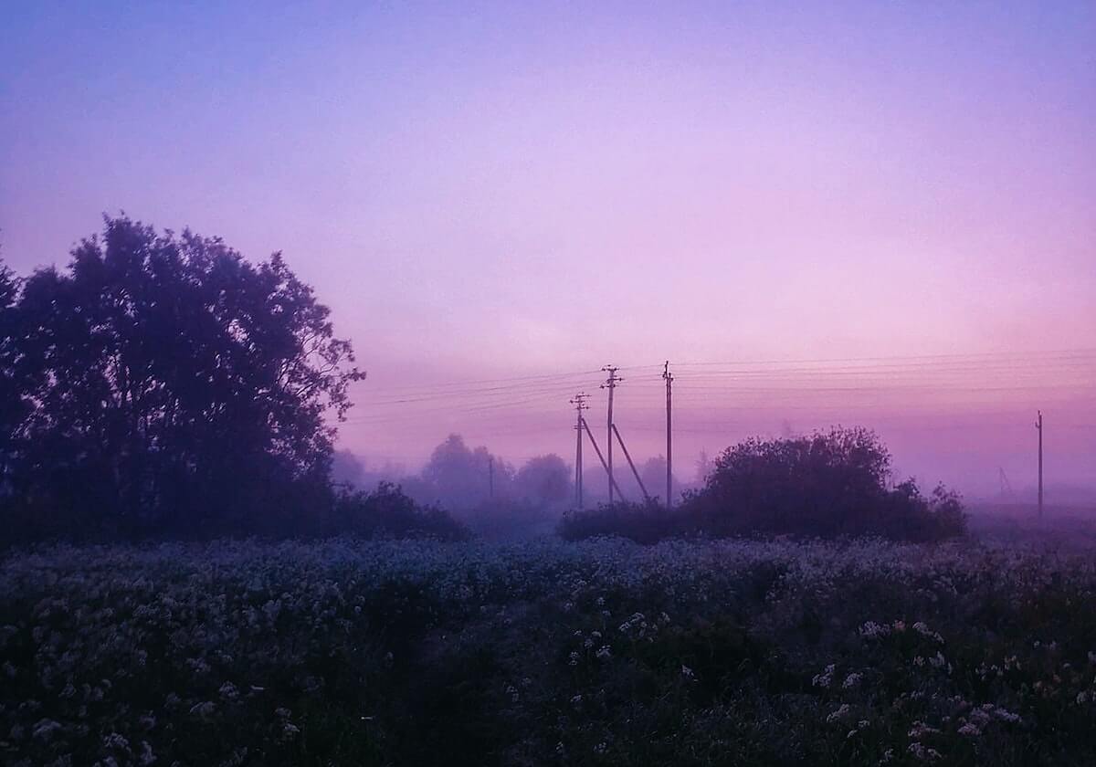 开云平台-巴黎官方：内马尔和莫伊塞·基恩将返回巴黎养伤